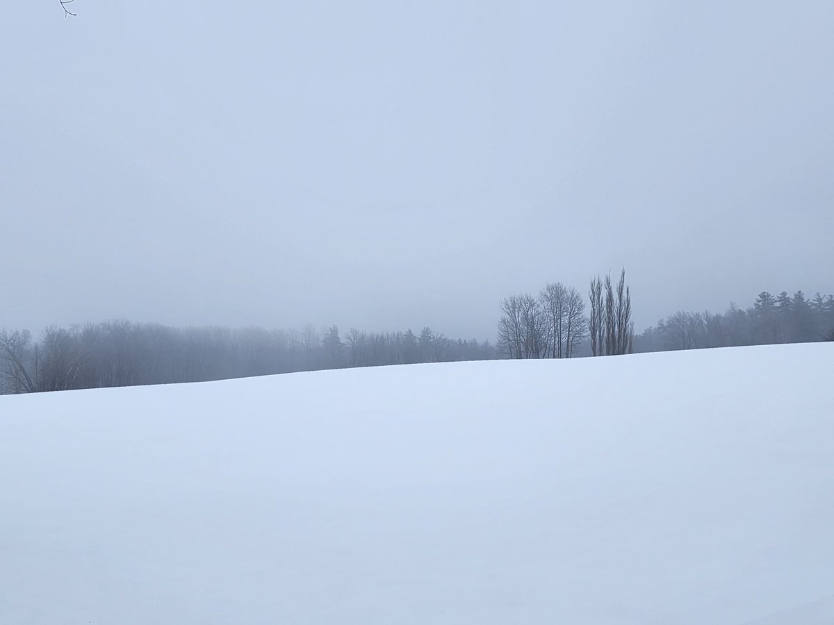 paerru's tweet photo. #Vermont https://t.co/lZIUuo1GaZ