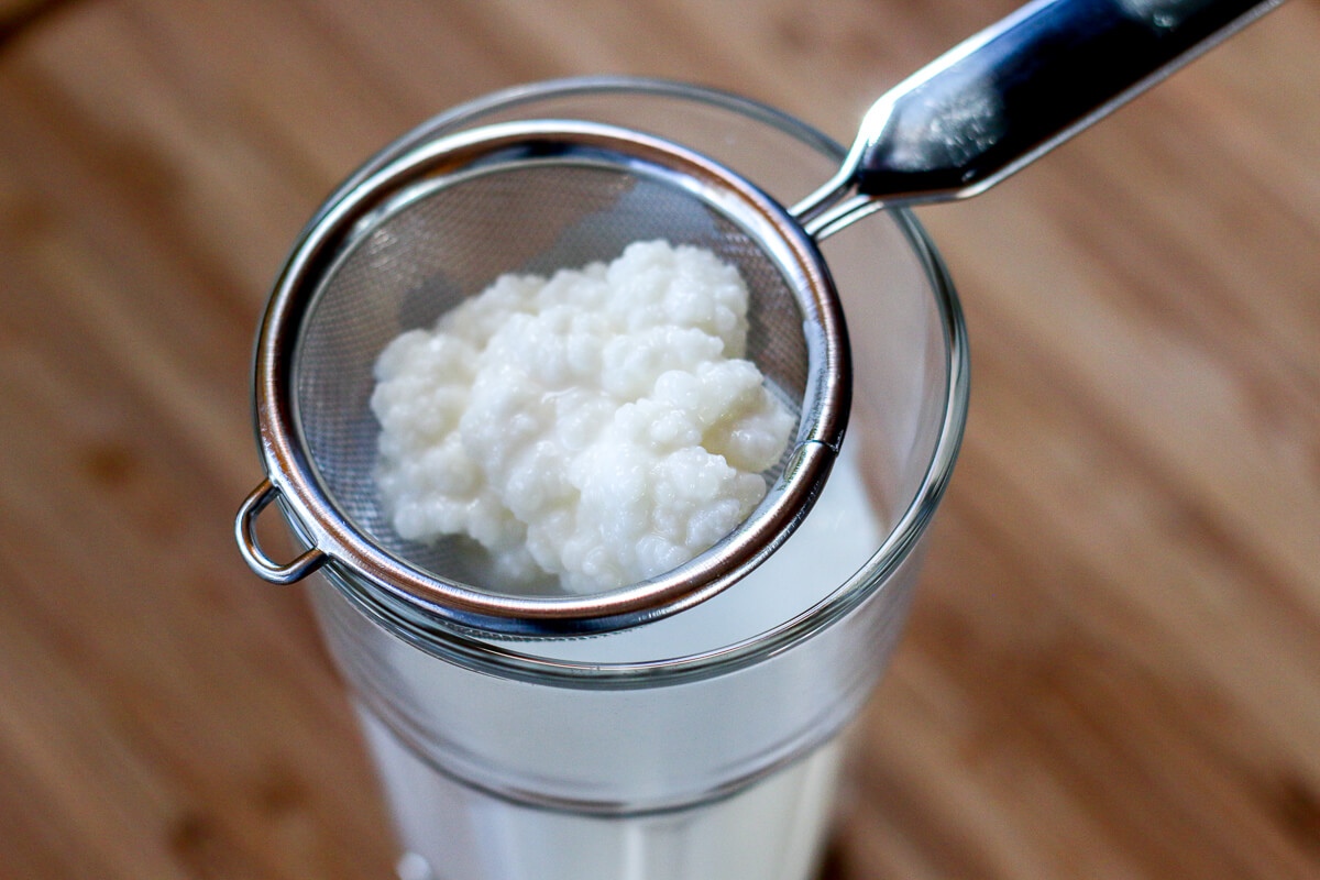 make_oh's tweet image. What are kefir grains?

Kefir grains are another type of SCOBY. A SCOBY is a symbiotic culture of bacteria and yeasts. 

The grains themselves are composed mostly by a mixture of bacteria, yeasts, and proteins with some lipids and sugars (the kefirans, for example).