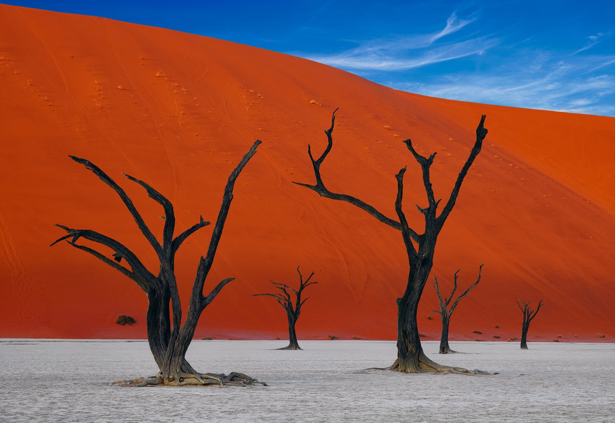 Deadvlei in the Namib-Naukluft Park of Africa is a location both humbling and exhilarating. Surrounded by a landscape that feels otherworldly, yet deeply connected to the earth’s history. lik.com/products/afric… #Africa #Namibia #LandscapePhotography #NaturePhotography