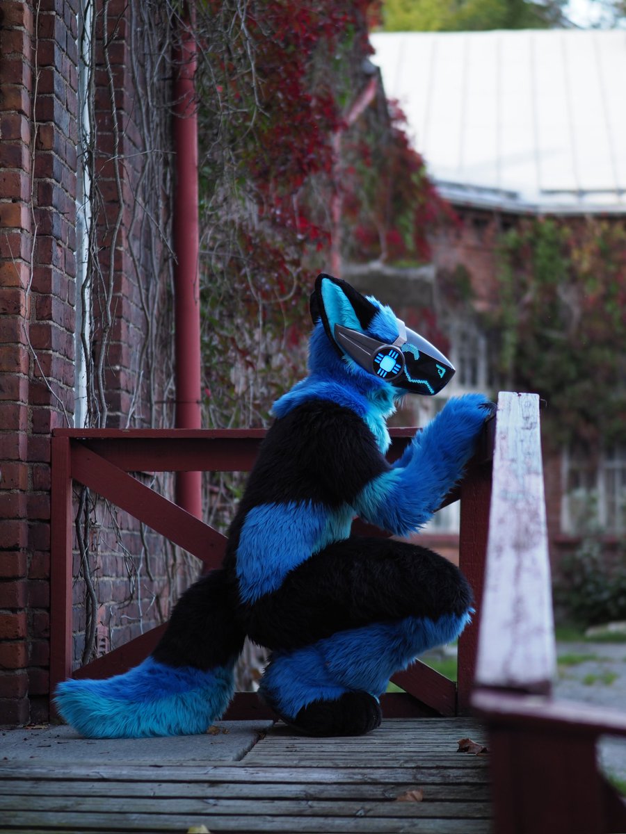 Just a silly proto taking a little peek.
Happy #fursuitfriday 

📸@/matttee_ (insta)

#furry #fursuiter #fursuit #protogen