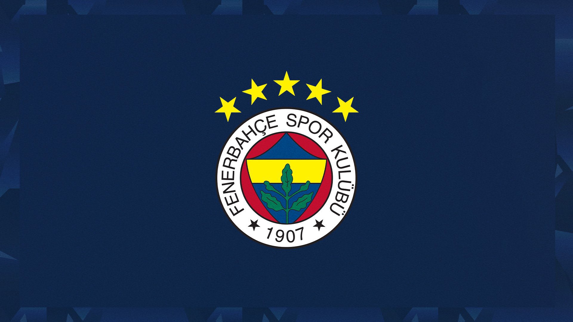 çağlar fenerbahçe