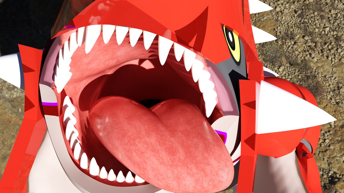 Tornado 💎 tweet media