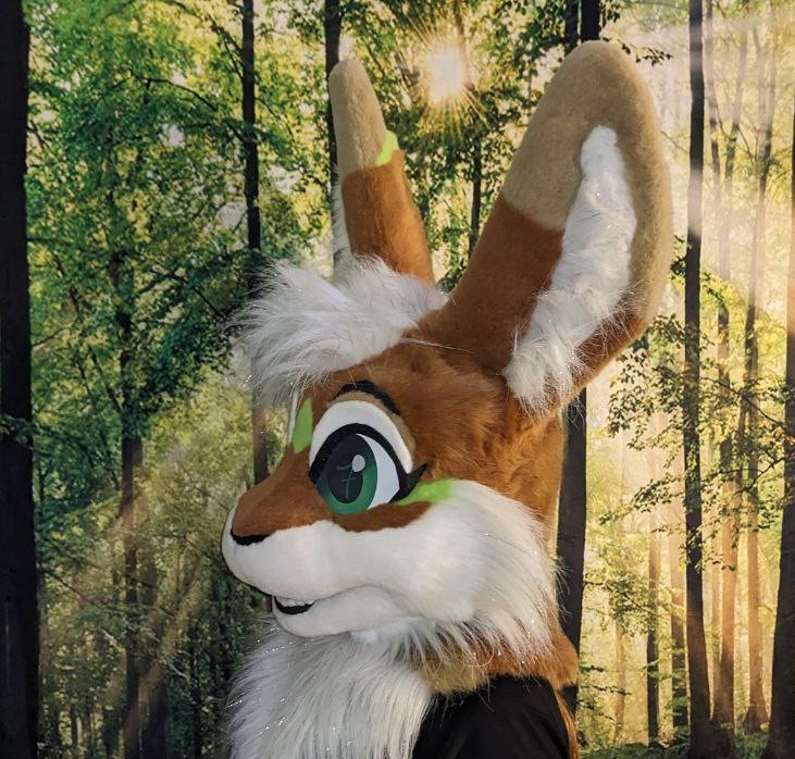 Fullmoonspecial's tweet image. My what ears you have!! 🐇✨

A bunny face for @___Quiver___  ! 

#FursuitFriday