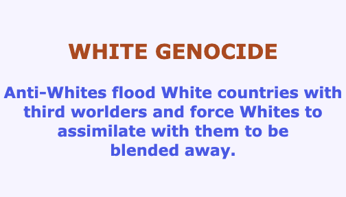 FolkPeaceVirtue's tweet photo. Noticing & opposing White Genocide is dumb", "disgusting", & "racist".🤡🤣
Only lying down and dying while celebrating the diversity which will belend your people out of exististence is acceptable to these morally bankrupt, anti-white extinctionists.
#Extinctionist https://t.co/ZCRT6ZNxr7