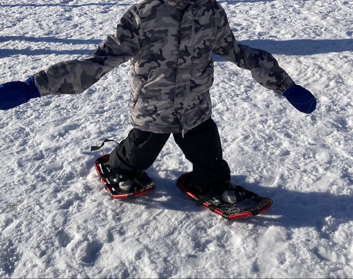 BPSHawksEES tweet media