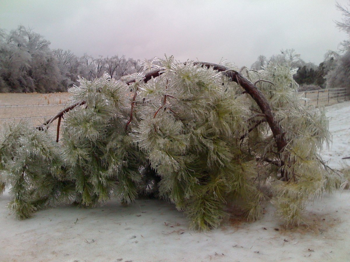 ToddYakoubian's tweet photo. Remember this?  15 years ago, northern Arkansas was hit by a historic ice storm.  Some places were without power for more than 3 weeks. #ARWX https://t.co/uJn3s2n6lm