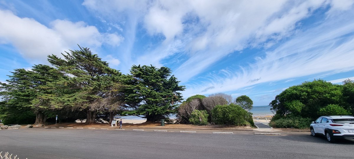 JMcK2018's tweet photo. #viewfrommyvan
#Imhere!
Finally made it to Tasmania...on the road shortly from overnight at Devonport to Bridport... https://t.co/8pLyyP02NA