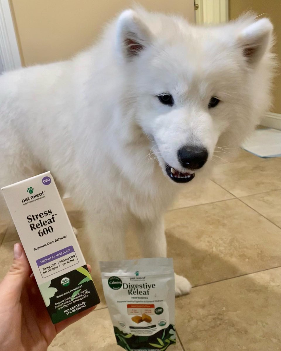 pet releaf tweet media