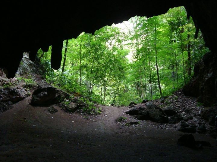 A la fecha, unas 500 cuevas han sido catalogadas por la espeleología nacional. Unas eran sitios míticos prehispánicos, ahora son destinos científicos. Estos monumentos naturales son #ValoresVenezolanos conocidos por muy contadas imágenes; acá un viaje virtual por sus interiores.