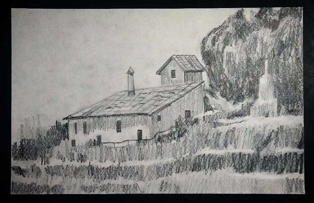 Pencil study.#gallery #drawing #nature #draw #artgallery #parramon #sketch #reference #commission #commissionsopen #art #artwork #artofinsta #trees #pencil #traditionalart #artist #countryhouse #contemporaryart #support #galleries #ink #artdrawing #pencilart #drawing🎨