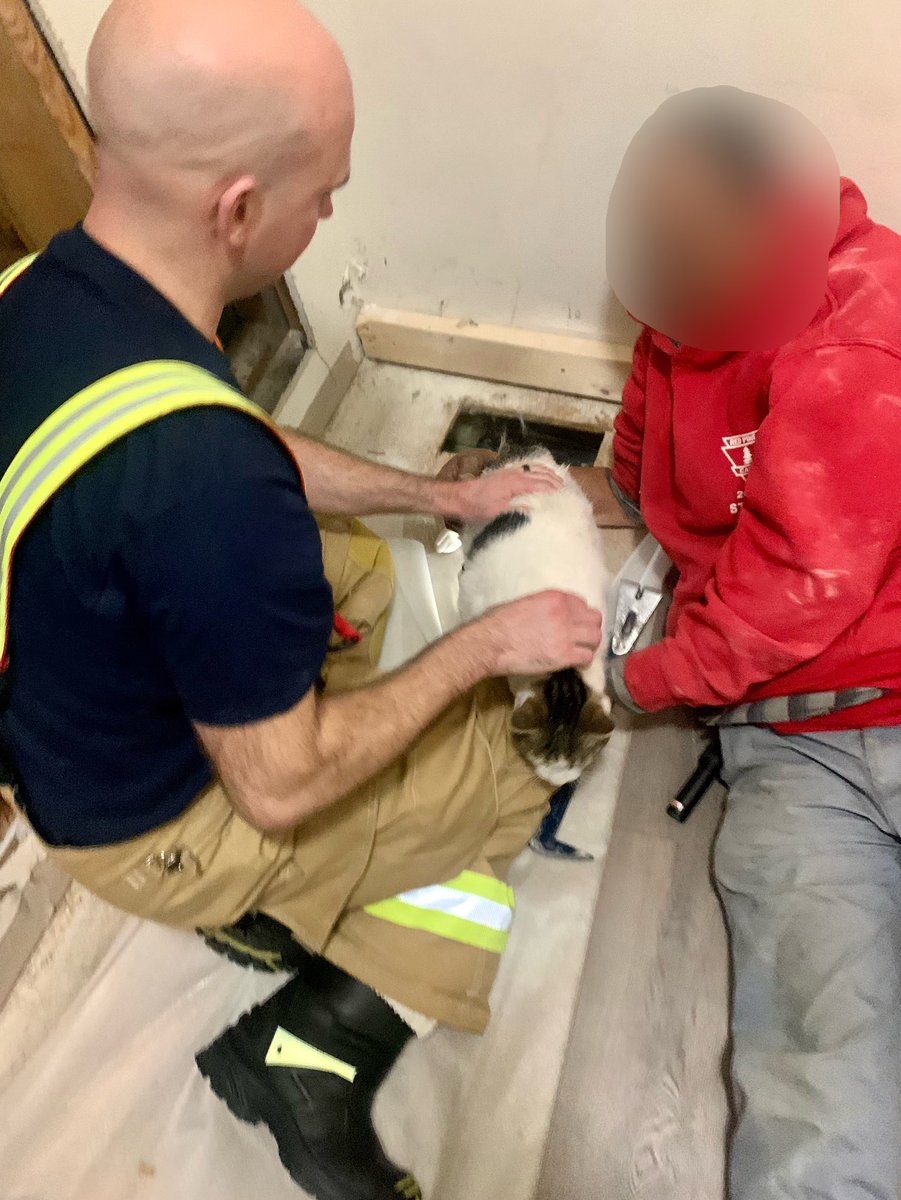 Firefighters helped a curious cat that got itself stuck inside the walls of the family home last night in Orleans. At approx. 18:33, Firefighters responded to the 700 block of Scala Ave when the home owner reported their family cat had entered through a hole in the wall from