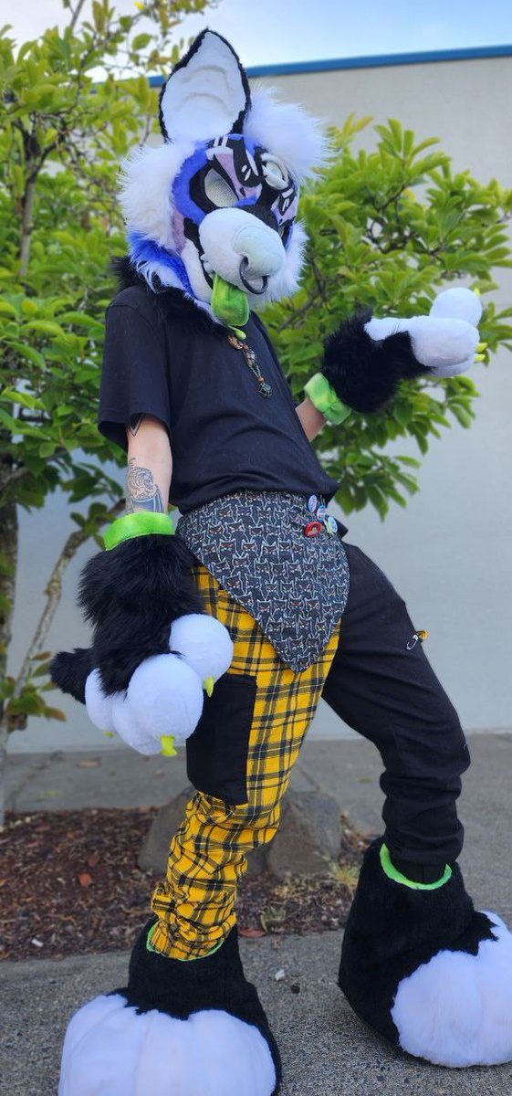 CactiMutt's tweet photo. I'm still so proud of this suit 🥹 

Collab w/ @mangle_arts 
Icky is owned by @Pvppy2k 

#fursuiter #fursuitmaker #fursuit https://t.co/qHXLTREAxz
