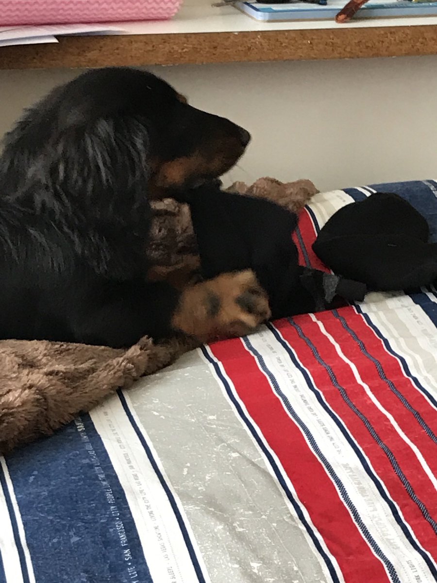 _johndunne's tweet photo. @BrodHiggins #goodbyesocks https://t.co/okVRDYX4ku