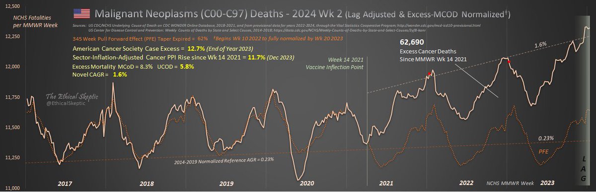 EthicalSkeptic's tweet image. Week 2 2024 Excess Cancer Mortality Update

▫️UCoD = 5.8%, novel CAGR = 1.6%
▫️MCoD = 8.3% (Excess Attributions = 324/wk)
▫️Ages 0-54 Excess Cancer Mortality = 27.5%
▫️BLS PPI-Treatment (Constant Dollars) = 11.7%
▫️ACS Annual Cases (2023) = 12.7%