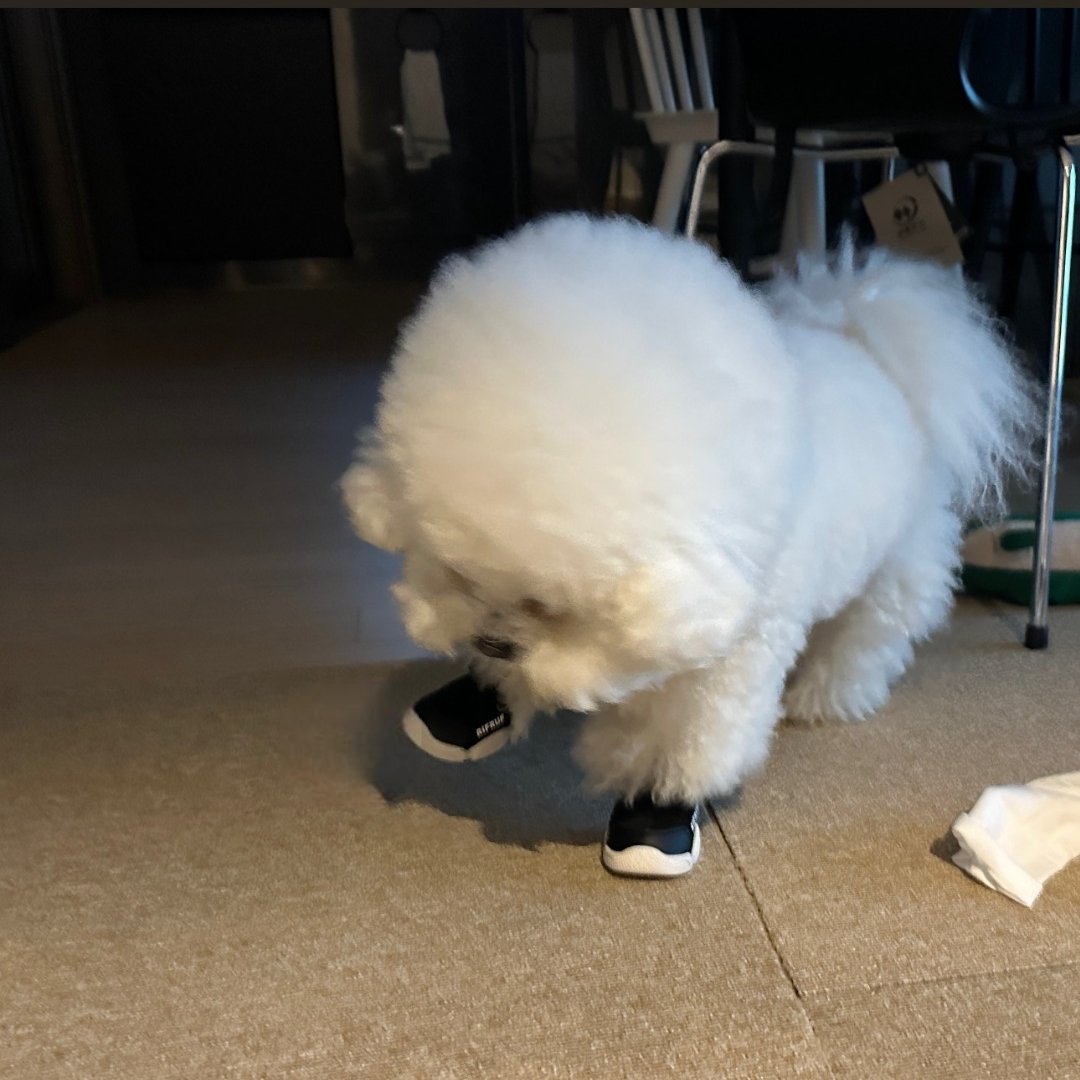 He got his air jordans today