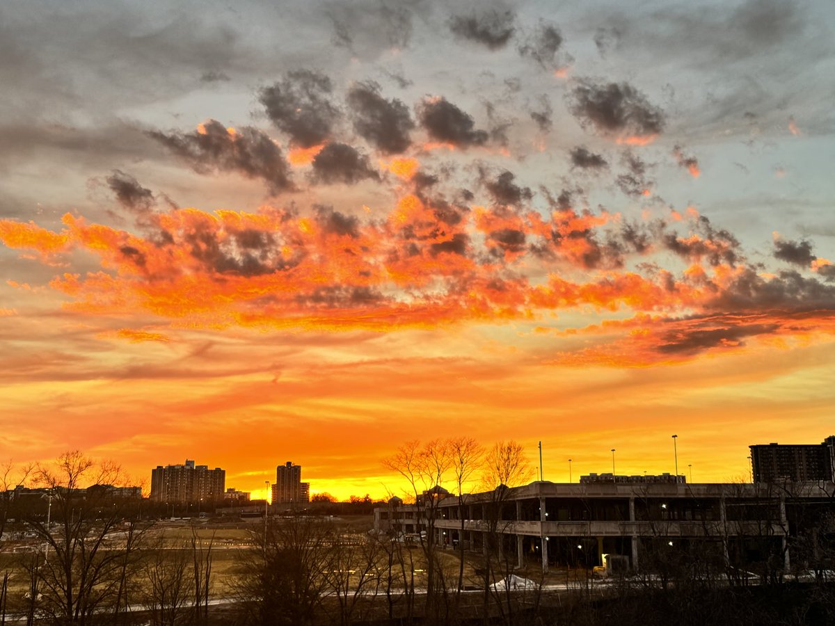 ⁦<a href="/capitalweather/">Capital Weather Gang</a>⁩ - a burst of color from west Alexandria!