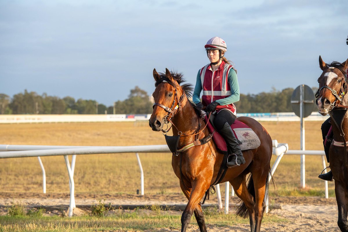 2️⃣ Runners for the team today @ThoroughbredPk for @SeibRacing and jockey @guymer_shaun Clever Cookie 🍪 Race 6 - Maiden 1300m Denarau 🏝️ Race 7 - Class 1/Maiden 1600m 📸 Clever Cookie by @ashbrennanphoto