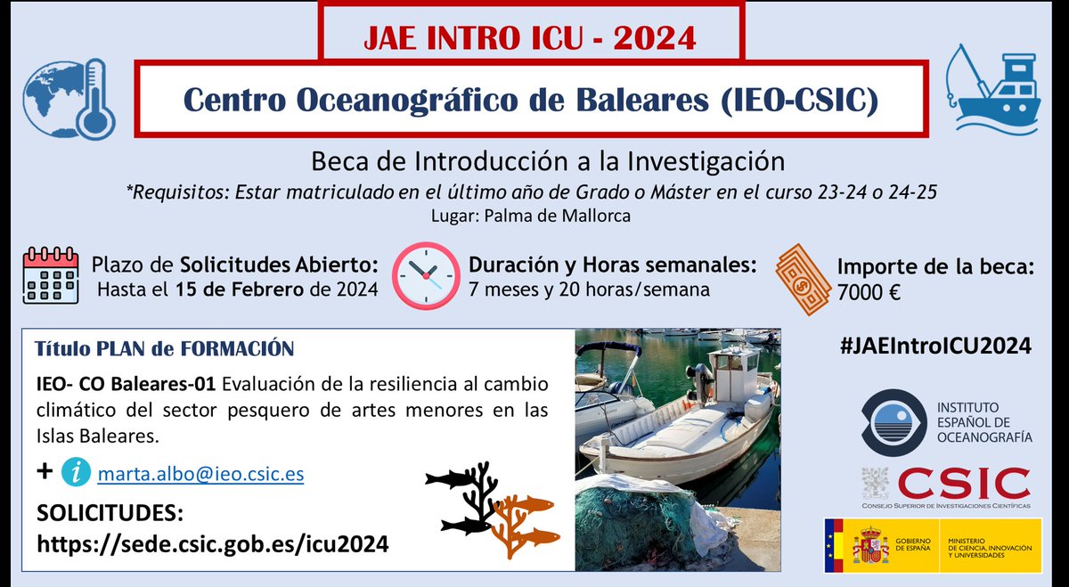 Abierta la convocatoria #JAEIntroICU2024 
¿Quieres iniciarte en la actividad investigadora?  En el <a href="/GRECOresearch/">GRECO</a> del <a href="/ieo_baleares/">IEO Baleares 🐟🪸🐙🦐🐬</a> ofertamos una beca! 👇🤩