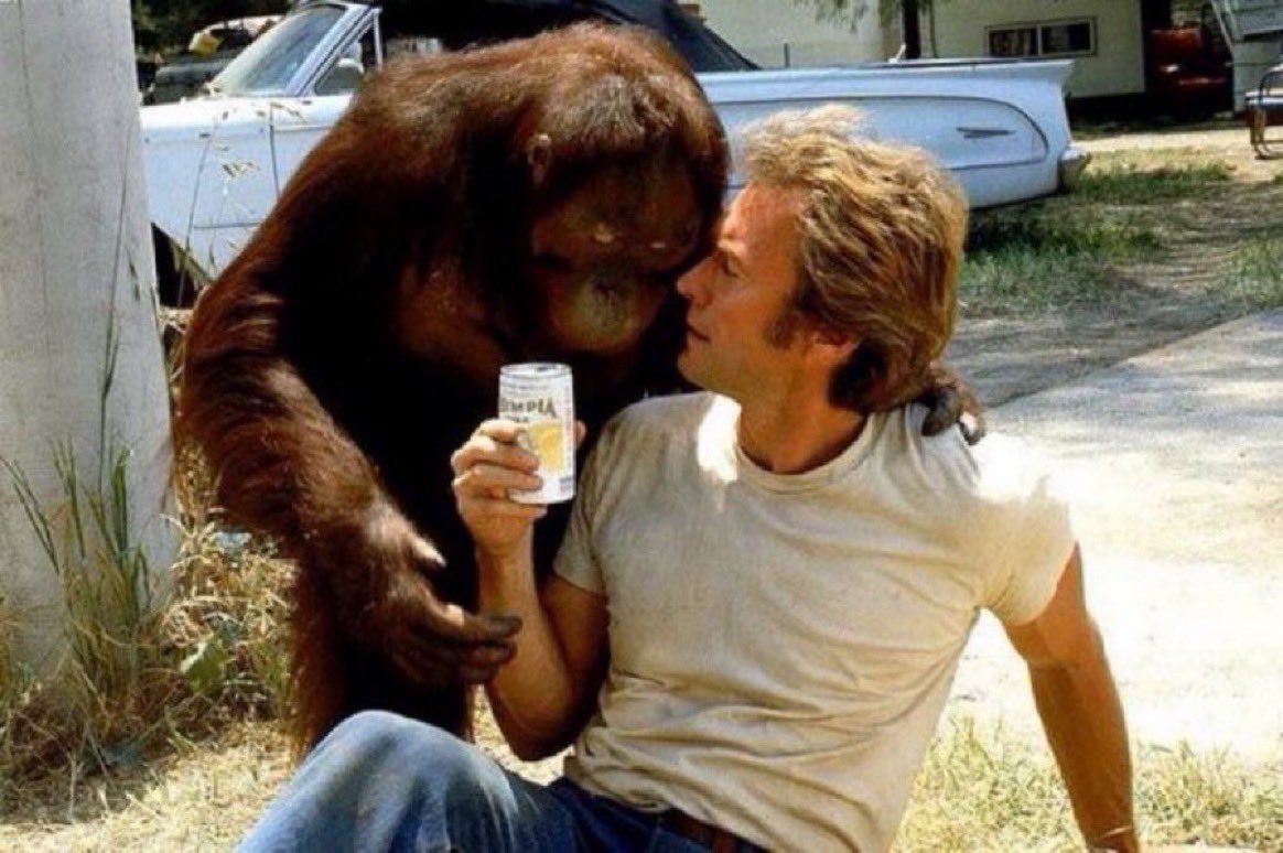 In the 70s, you could have a beer and enjoy some quality bro time with your orangutan. He might even help you drive your rig around while you fistfight motherfuckers for supplemental income. It somehow made sense to us at the time.