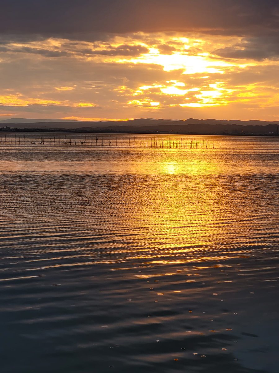 RobHendricks's tweet image. La Albufera...