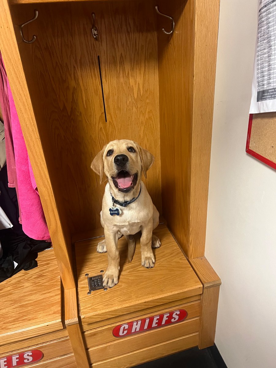 Meet the new Assistant Coach Tyson. 🏈🐾🏈 @Redskins32 @treydubuc67 @Trent_Dubuc @FootballGibbons