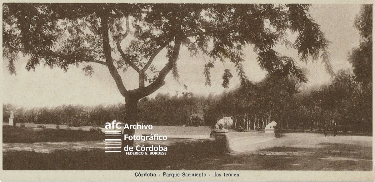 AfcCba's tweet photo. Archivo Fotográfico de Córdoba. Documento fotográfico. Inventario Nº 4.164
Nota: Parque Sarmiento, Los Leones custodiando el ingreso en donde estaba el busto de Domingo Sarmiento. Actualmente se halla el monumento a Manuel de Falla.
Federico G. Bordese, Director General de la AFC https://t.co/Tm4F0EL21P