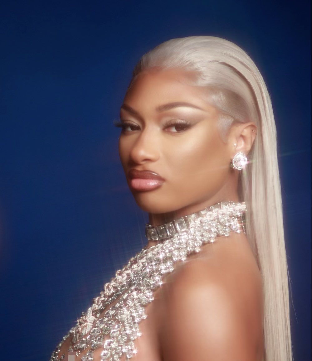 theestallion tweet picture