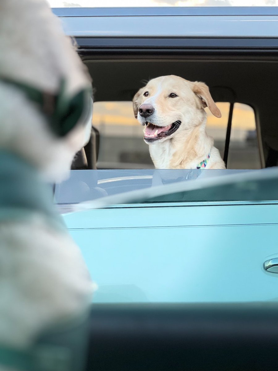 millercathy's tweet image. Are you so focused on reaching your destination, you forget the customer who is along for the ride? via @millercathy

Read the full article: Customer Service Warning: When Speed Kills
▸ bit.ly/3OzO1sv

#CustomerServiceExperience #CustomerService