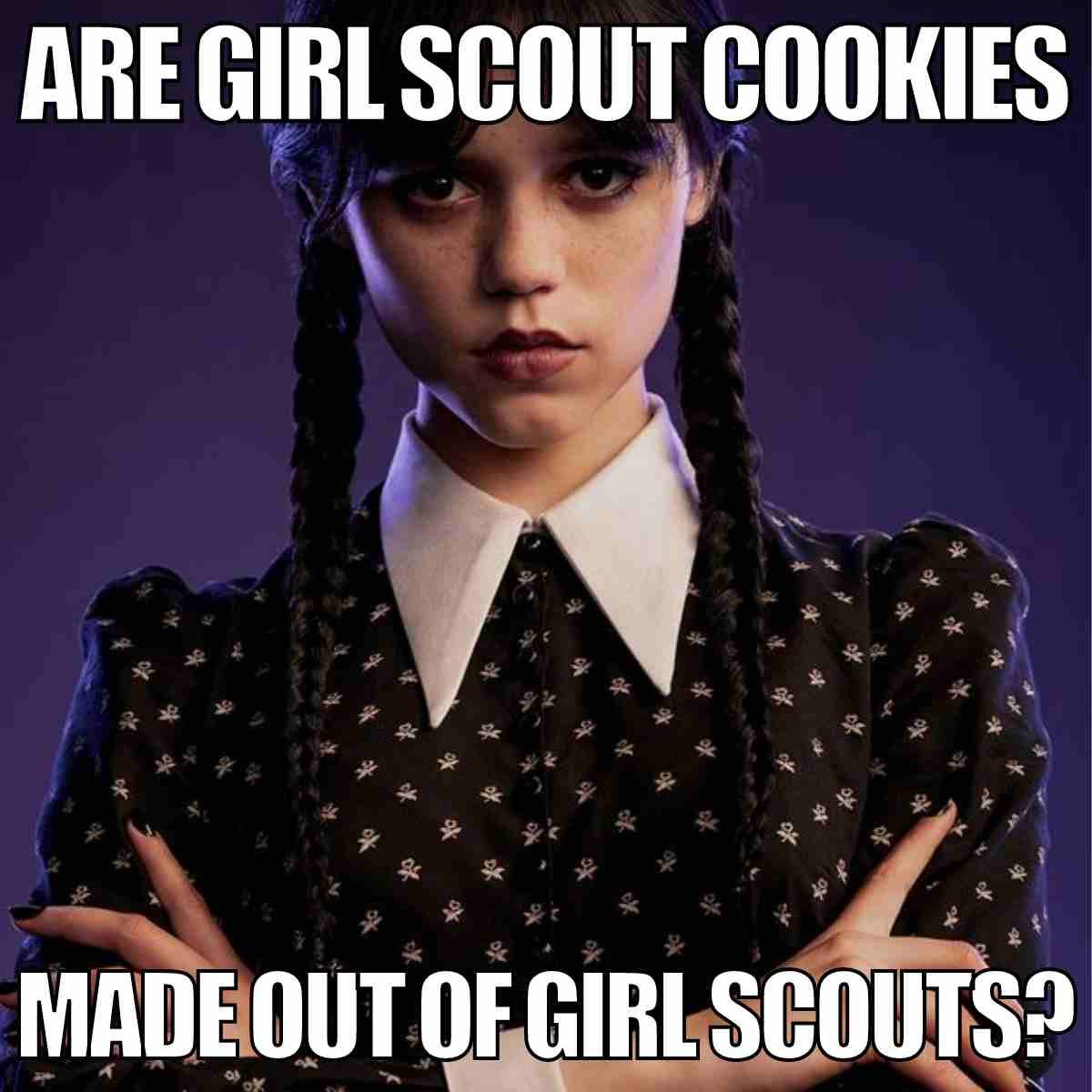 Taryn silverman tweet media