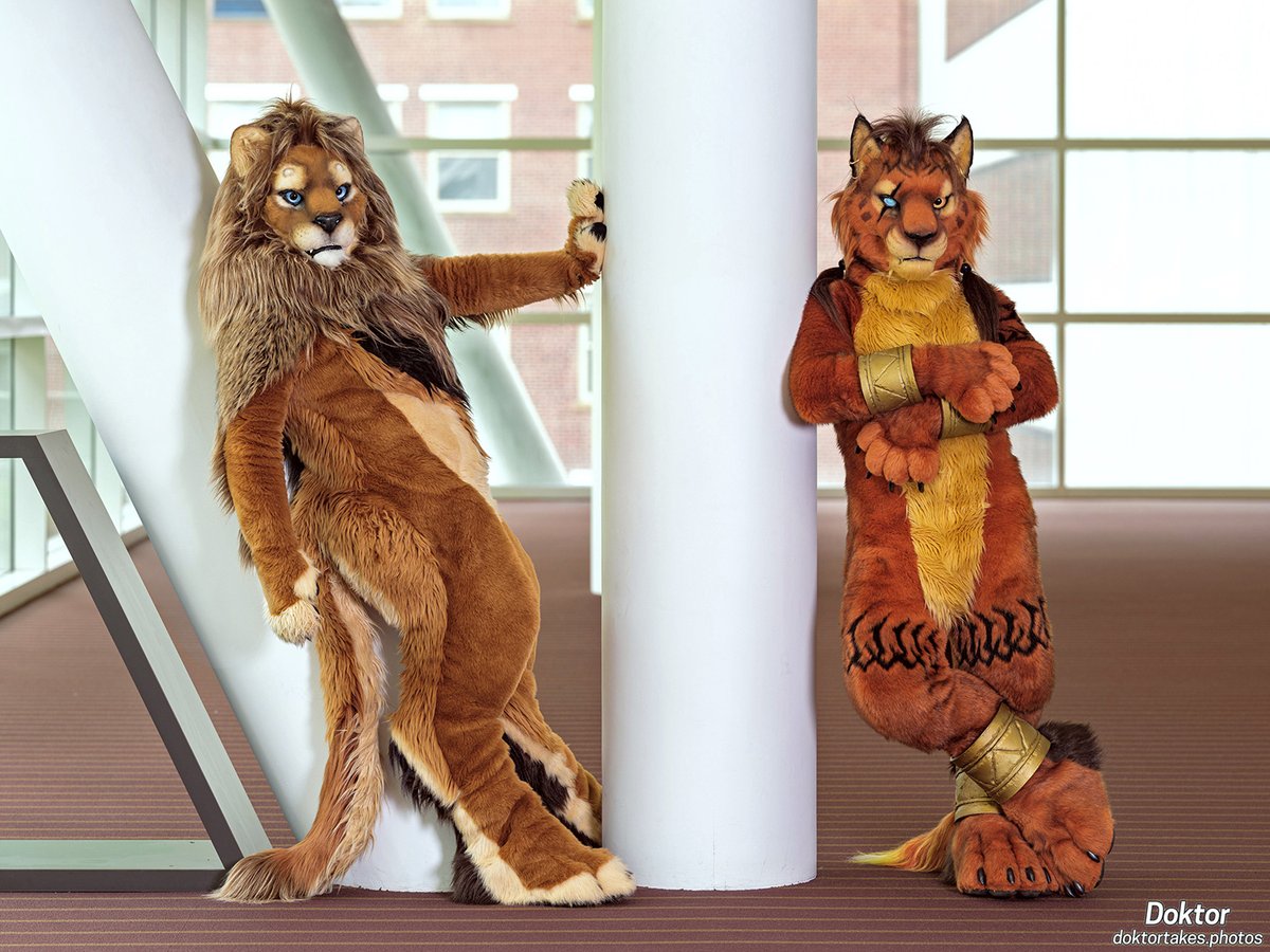 Couple of cool cats, lounging around back at Anthrocon, ft. Red XIII and @maneymarklion. #FursuitFriday 📸: @DoktorTheHusky 🧵: @Beetlefursuits