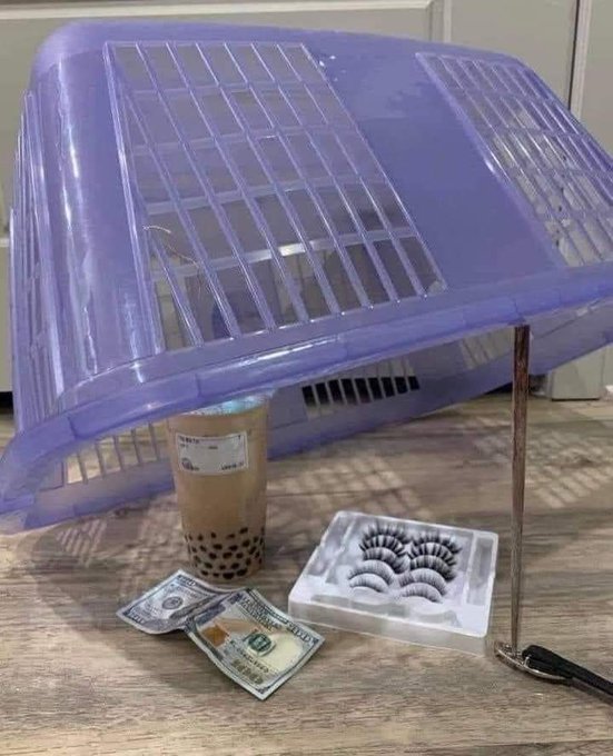 Aver si pesco una preciosa antes del 14 https://t.co/Kk3OBTzisu