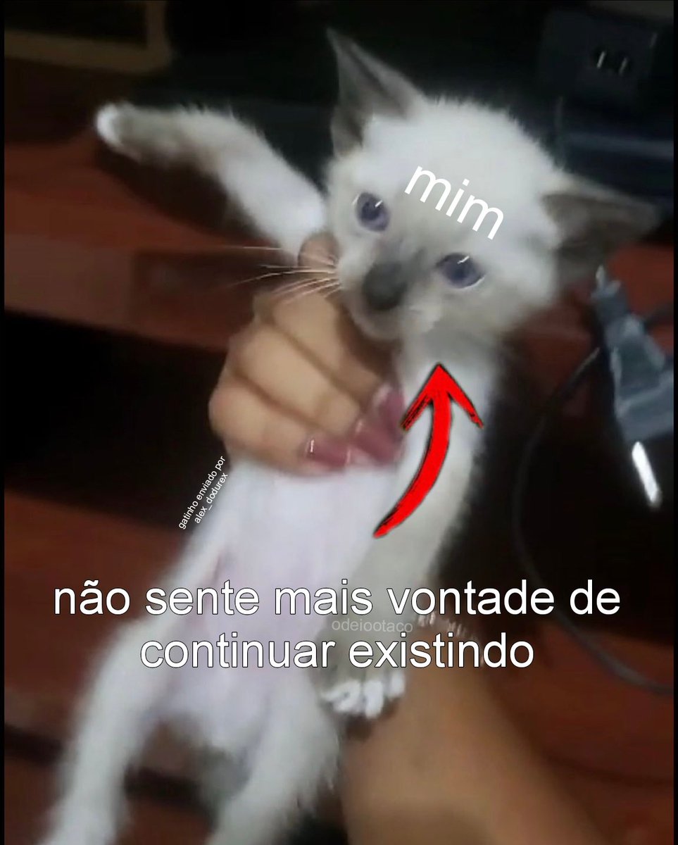 odeiootaco's tweet image. 