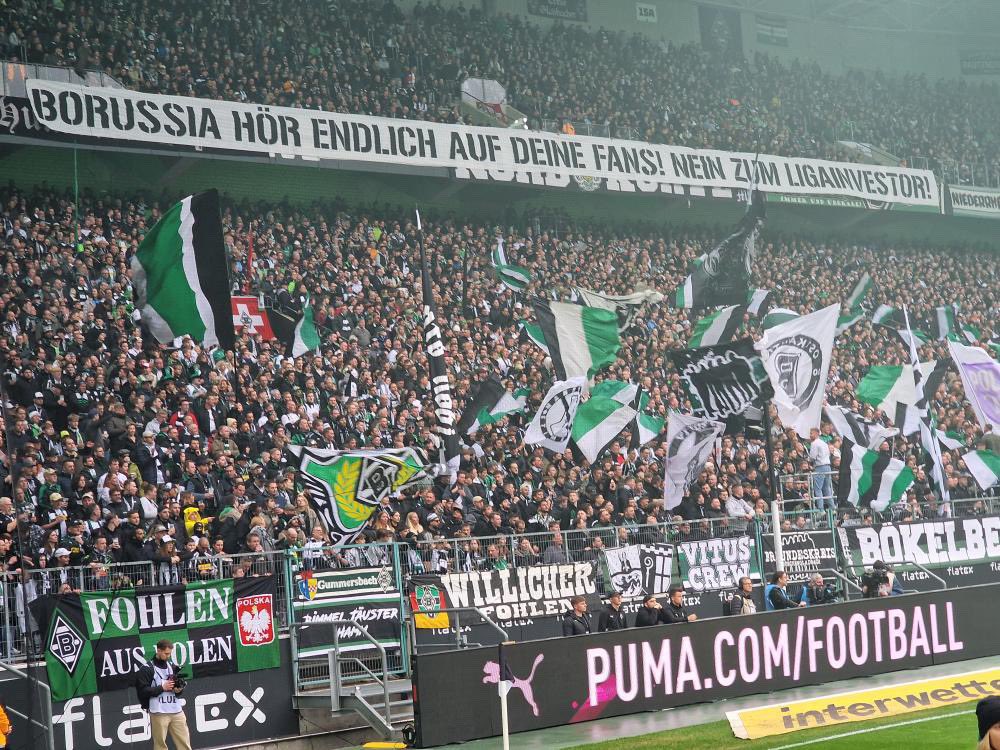 kurvenhelden's tweet photo. #BMGSVD ⚫️⚪️🟢 „Borussia, hör endlich auf deine Fans! Nein zum Ligainvestor!“ Nordkurve Mönchengladbach gerade eben gegen den SV Darmstadt! 📸 @puggyontour #borussia #bmg #gladbach #vfl1900 https://t.co/BnARzfr2Wj