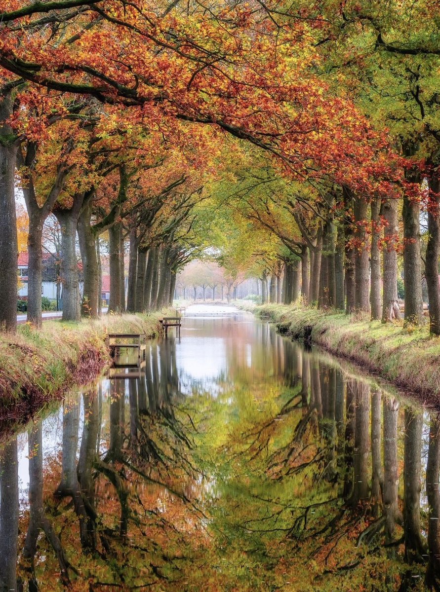 Beautiful 

(📷 Pinterest)