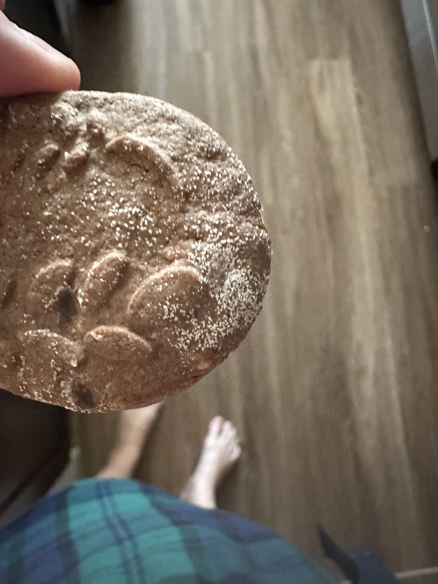 juozol's tweet photo. @belVita just bought them and they are moldy! Expiration date is july 2024 https://t.co/HtTTsOu0iM