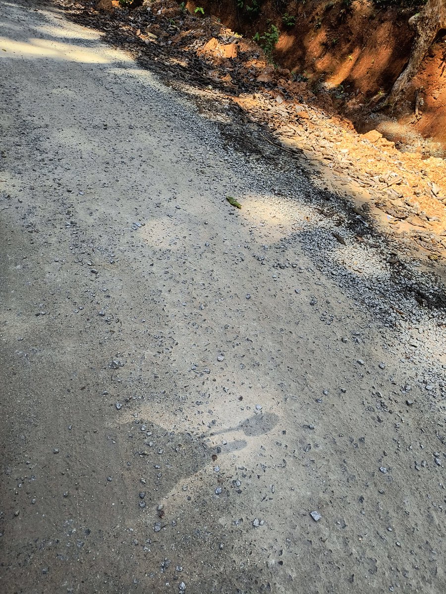 manmathamn57's tweet image. Dear sir ,in my Village after 30 year's I saw Concrete/Damabr road.last year Feb 2023 road work completed.see the current situation of the road .so pathetic work from contractor.
@narendramodi @nitin_gadkari @AmitShah @MORTHIndia
#Corruption #India #development