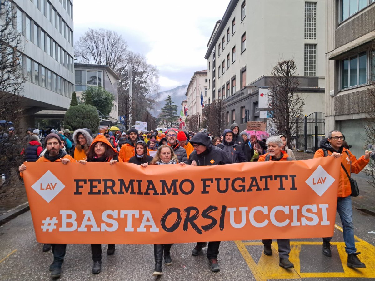 LAV_Italia's tweet photo. #BastaOrsiUccisi!🐻
Abbiamo aderito alla manifestazione nazionale di #StopCasteller a Trento per chiedere il rispetto della vita degli orsi!
Chiederemo l'intervento di @EU_Commission perché l'Italia risponda delle uccisioni del presidente @MaurizioFugatti👇 https://t.co/Od1nFwZTDx