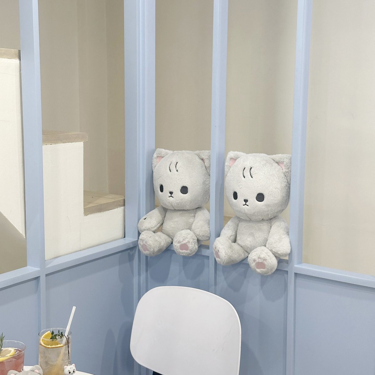 imolmellow's tweet photo. twins 🥟🤍🐱🐱 https://t.co/tccfwVz6sG