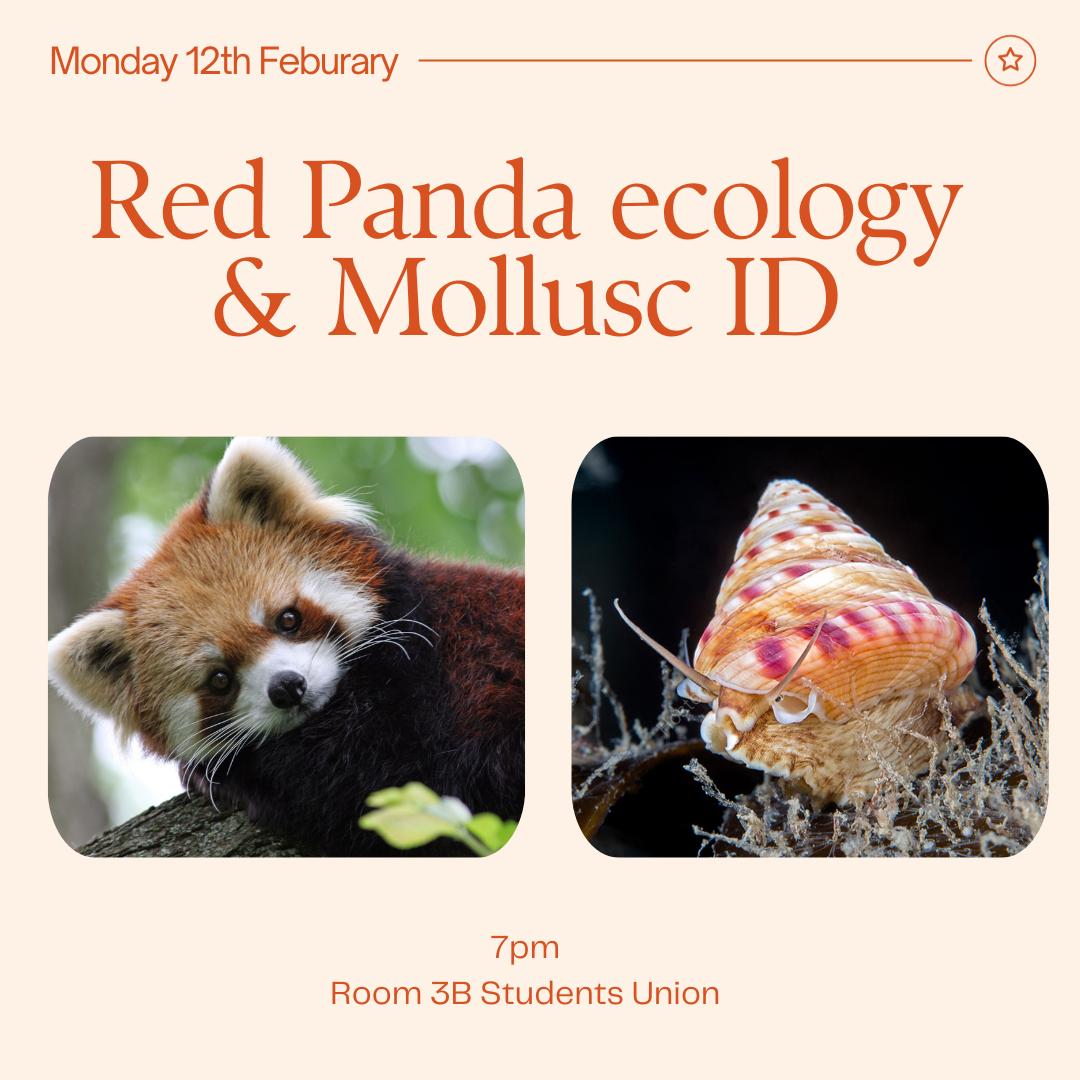 Cardiff WildSoc tweet media