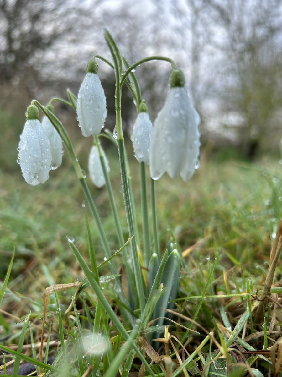 How beautiful is our park on a Saturday? <a href="/MiltonCreek/">Milton Creek</a>