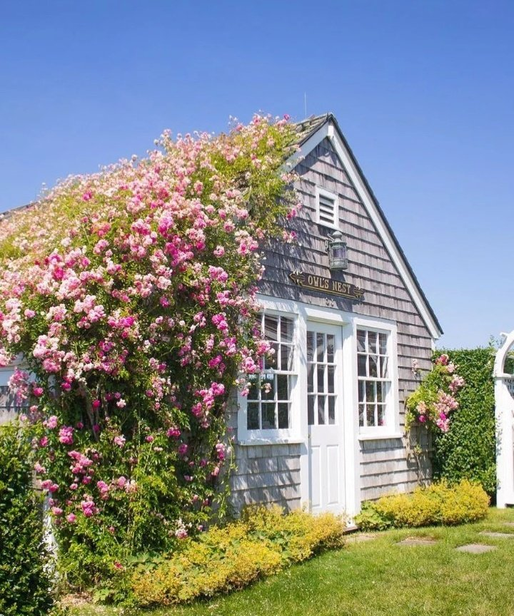 artindetails's tweet photo. cottages. https://t.co/0bGPovjJGu