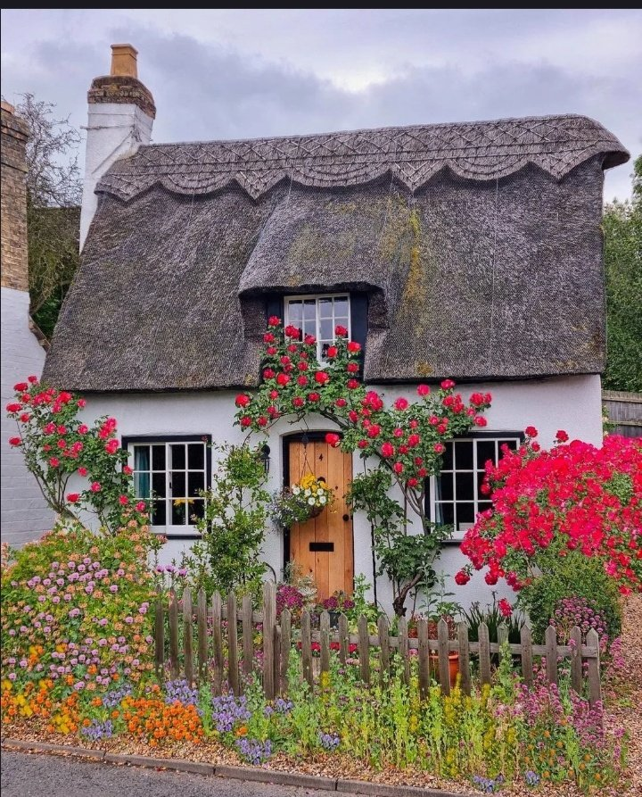 artindetails's tweet photo. cottages. https://t.co/0bGPovjJGu