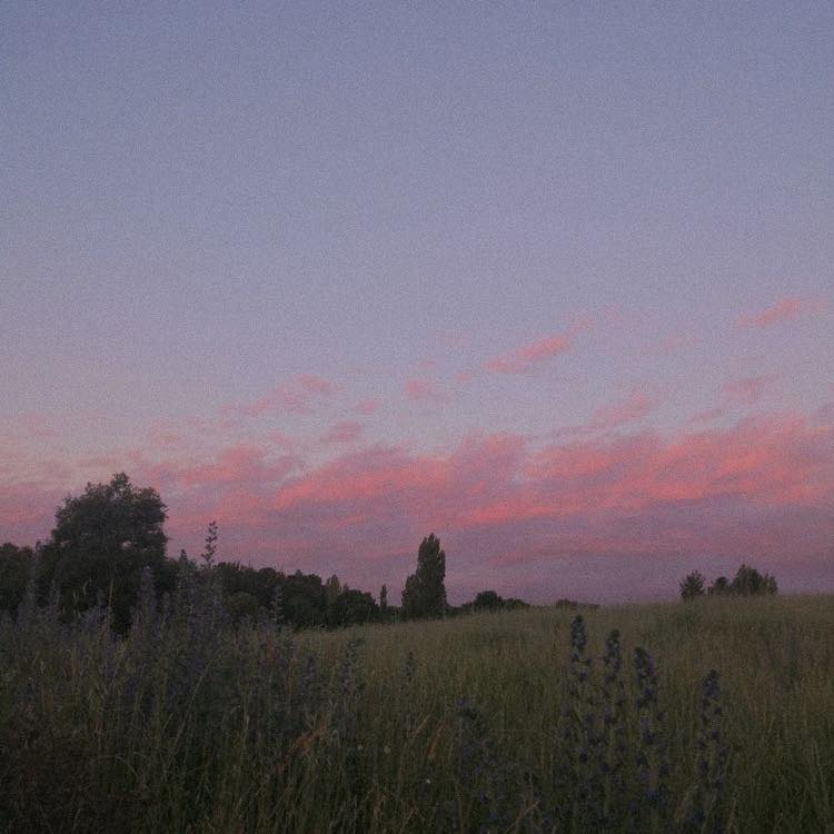 artindetails's tweet photo. pretty skies. https://t.co/8tdsG5MYlc