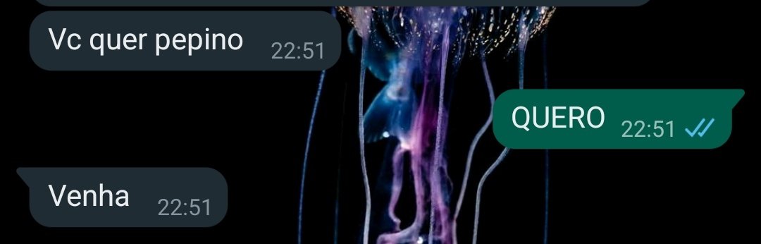 Genghis Kwanza tweet media