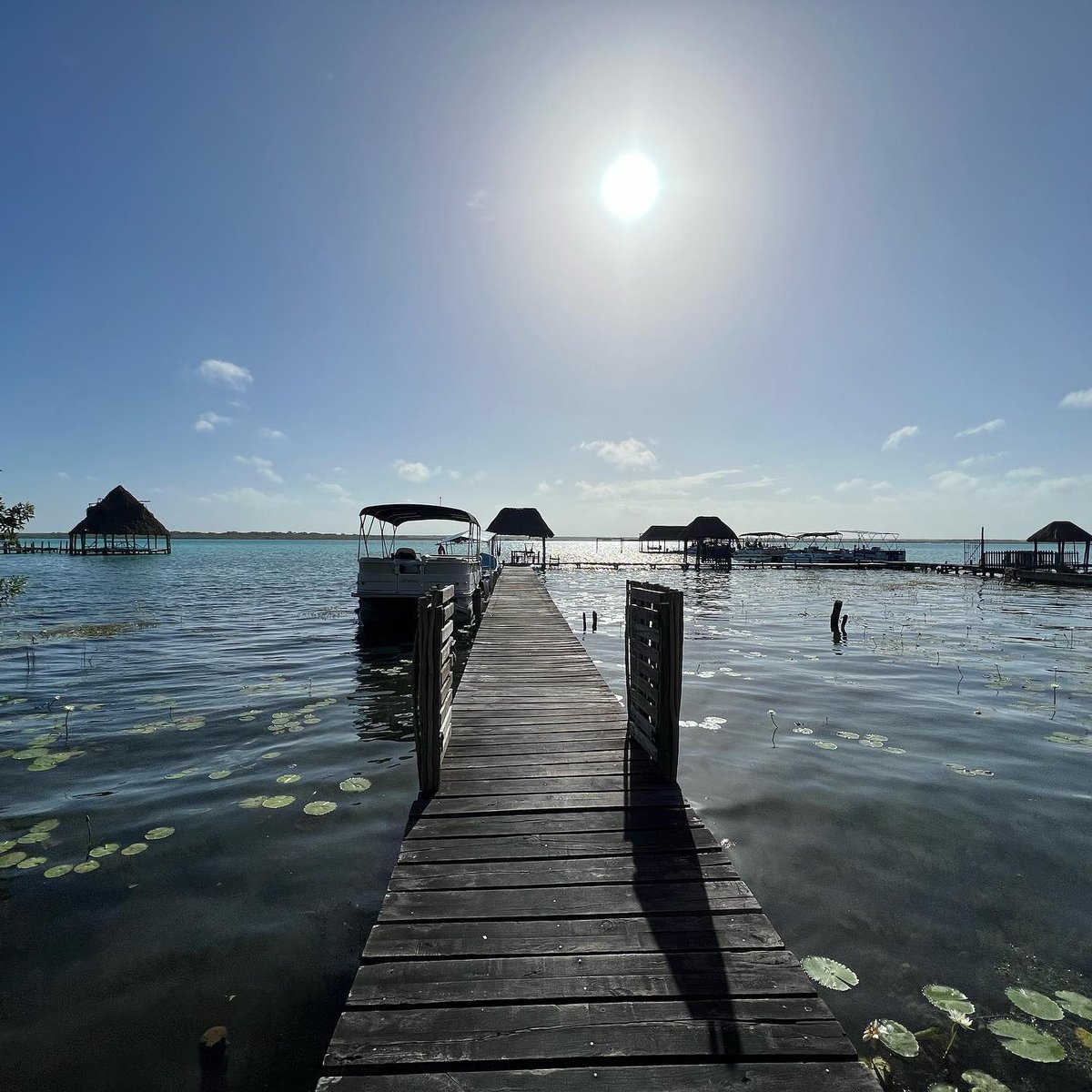 Chetumal tweet media