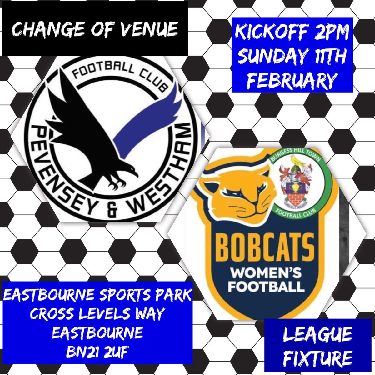 COME ON PEVENSEY 

💙🤍