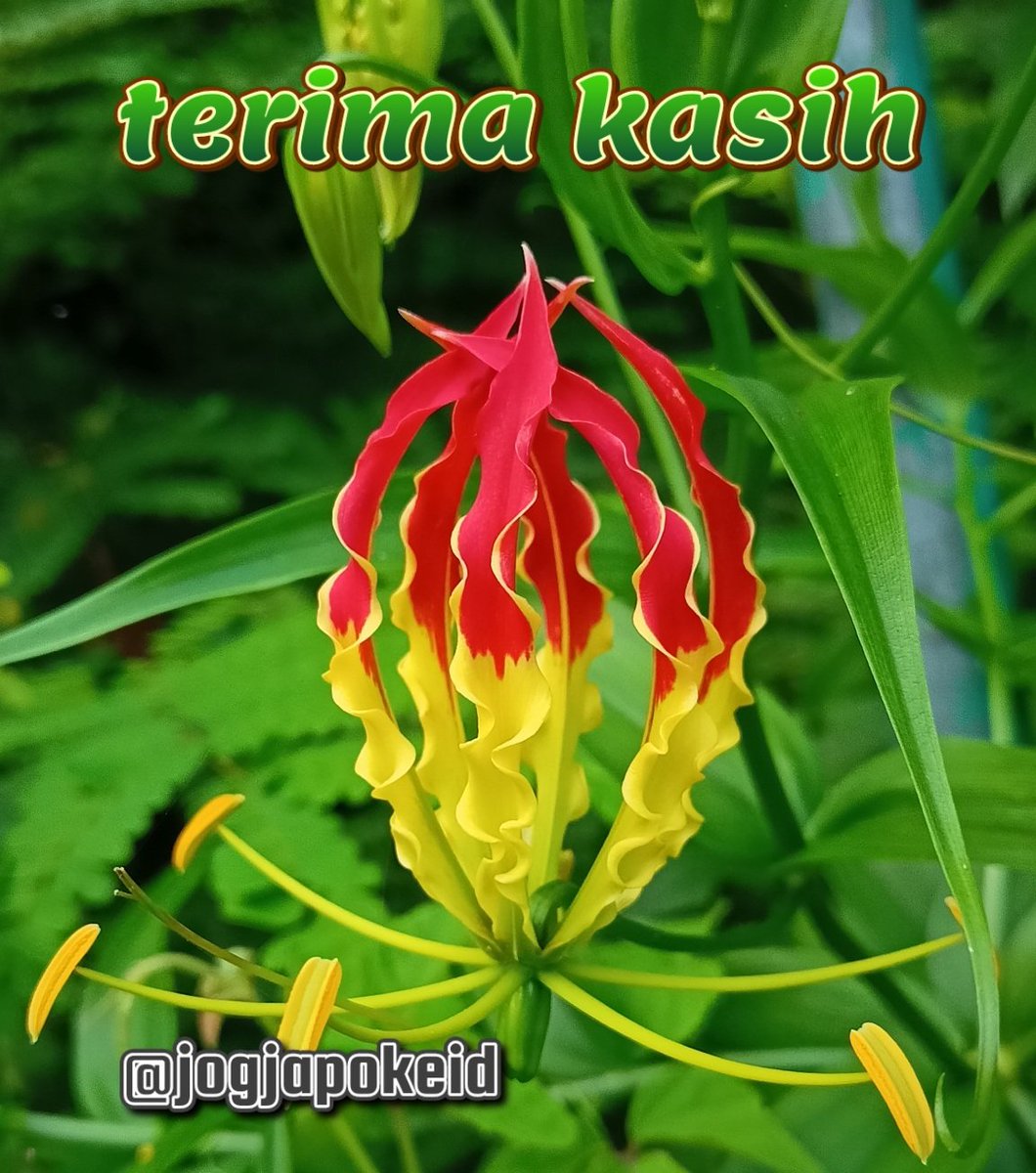 #programfolback
#KulinerNusantara
#F4F_Nusantara

terima kasih
⏩➽mas <a href="/herry_wl/">Herry Herry🇲🇨🇲🇨</a>

<a href="/_Dauph1ne_/">💦🍀🐬Dauphine🐬🍀💦</a>
<a href="/newIding30/">ABAH IDING 🇮🇩</a>
<a href="/aariejazz/">𝙰𝚛𝚒𝚎 𝙺𝚎𝚙𝚛𝚘𝚔🇮🇩</a>
<a href="/jogjapokeid/">jogjapokeid</a>
@dika_maxelyou
<a href="/DimasMAlfa47671/">Dimas M. Alfarizy</a>
@DimasPrase252
<a href="/Dina_Denoks/">𝔖𝔢𝔫𝔞𝔫𝔡𝔲𝔫𝔤 𝔖𝔢𝔫𝔧𝔞 💛🌻🌙</a>
<a href="/dinols5/">💯dinols🇲🇨</a>
<a href="/diskandar70/">_*AWIS CHAN*_</a>
<a href="/Ditapur52612869/">Dita purnama sari</a>
<a href="/Djarwinchitta/">Kremesan</a>
<a href="/DjuaraS/">Djuara P Simanjuntak</a>
<a href="/DlyMenyapa62666/">Dy Saro (akunke2 ke1tenggelam)</a>
<a href="/dnjava/">ᴅ ᴇ ɴ ᴊ ᴀ ᴠ ᴀ</a>