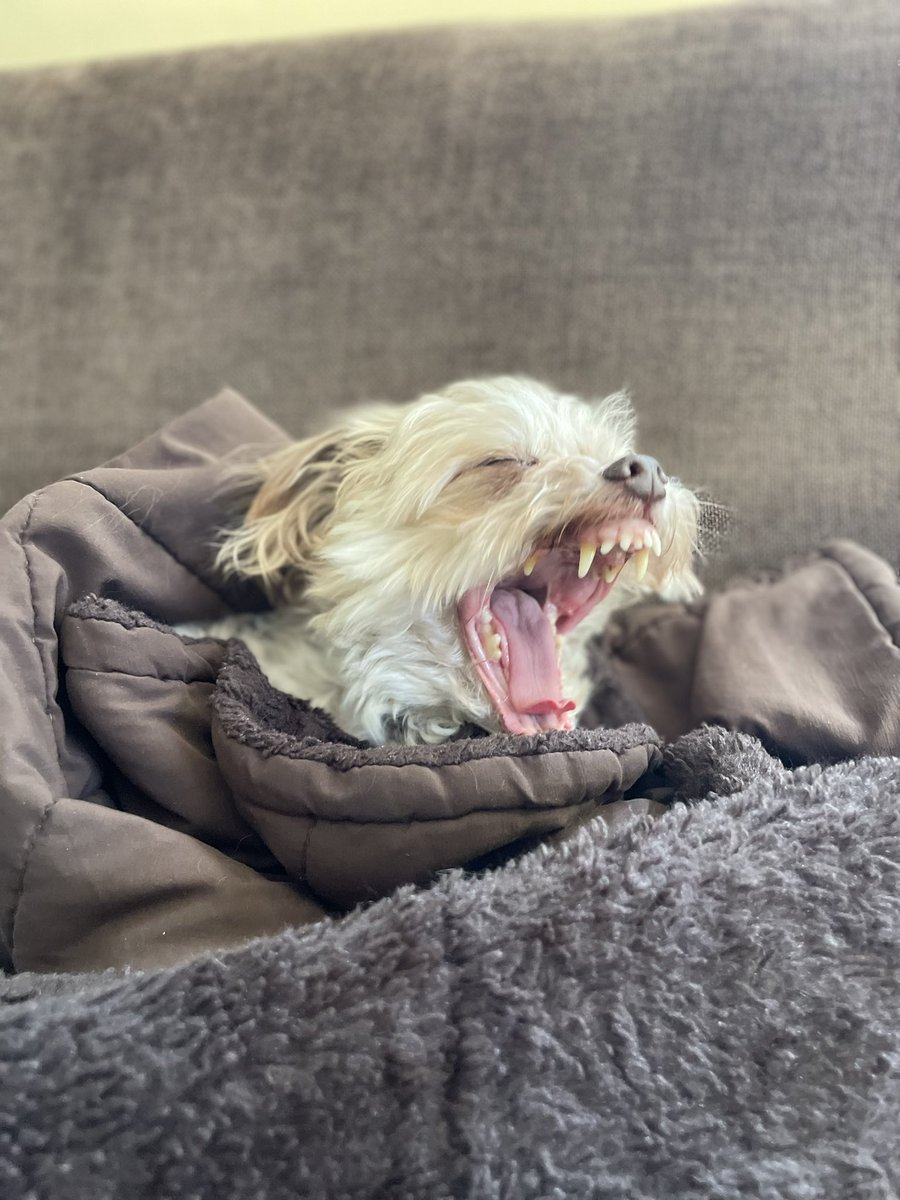 Aimsel Ponti tweet media