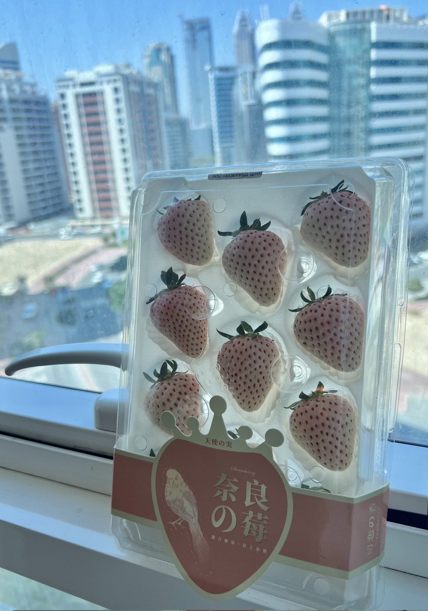 桜苺様セレクトページ いちごづくしの夢の空間「Yokohama Strawberry Festival 2024」 - 横浜