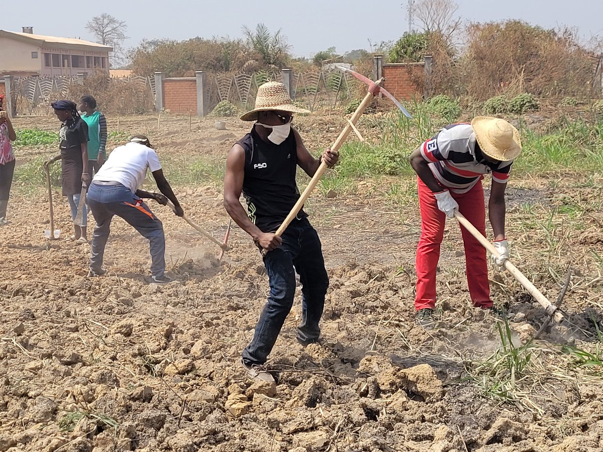 Yerimabanga's tweet image. @IsaacUcac #UCAC Ils sont vraiment décidés de révolutionner l'agriculture et de rendre à la terre ses lettres de noblesse en la bichonnant. Même les 4 prêtres étudiants ne sont pas du reste. Félicitations aux étudiants de l'ISAAC. @UEDouglasCarp #FAO_RCA #AFD_BGF @FranceBangui